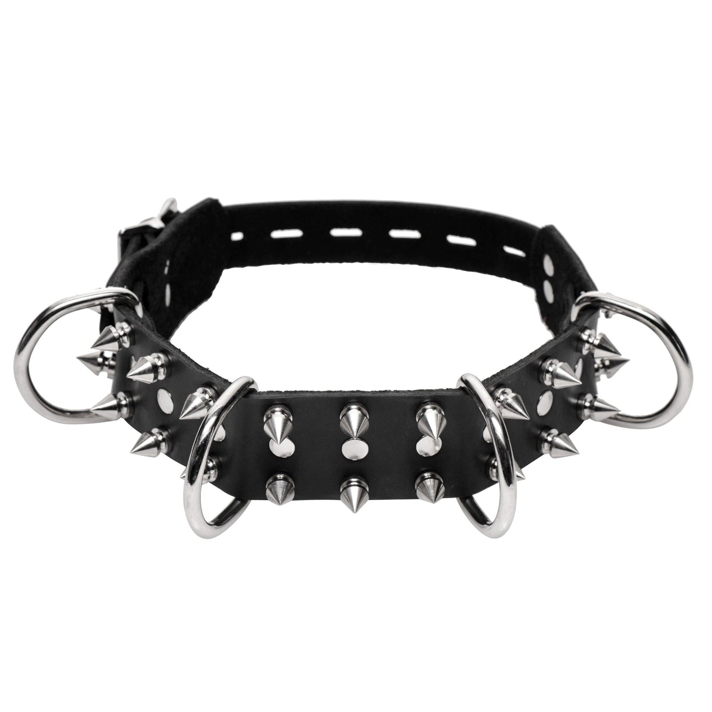 Bad Dog Leash and Spiked Collar Kit