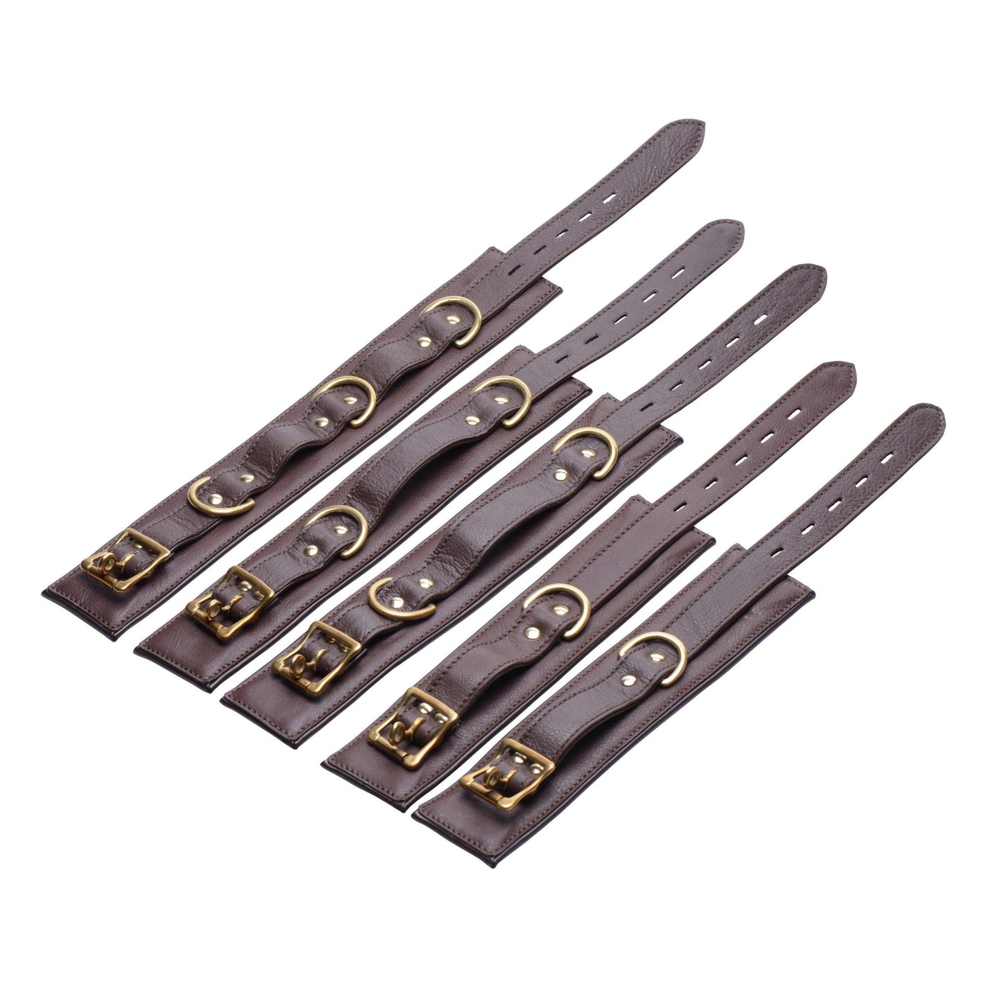 5 Piece Locking Leather Bondage Set