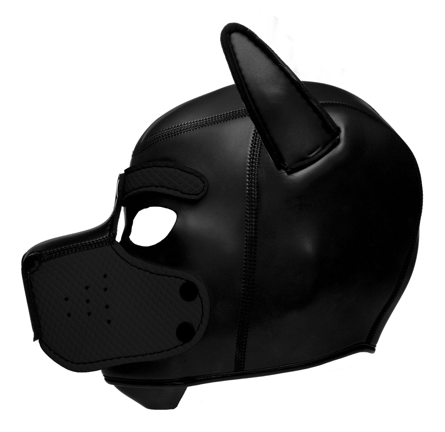 Spike Neoprene Puppy Hood -