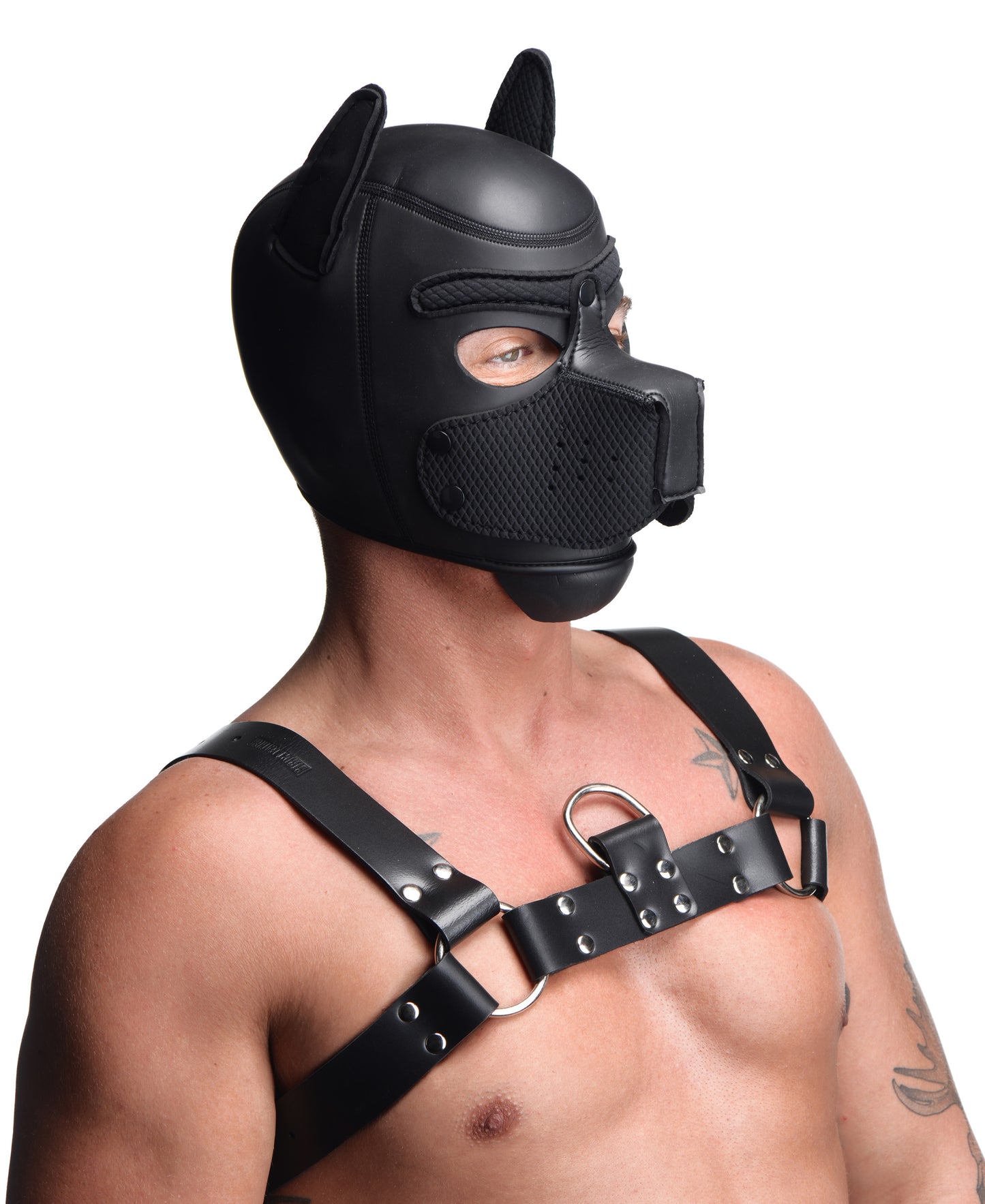 Spike Neoprene Puppy Hood -