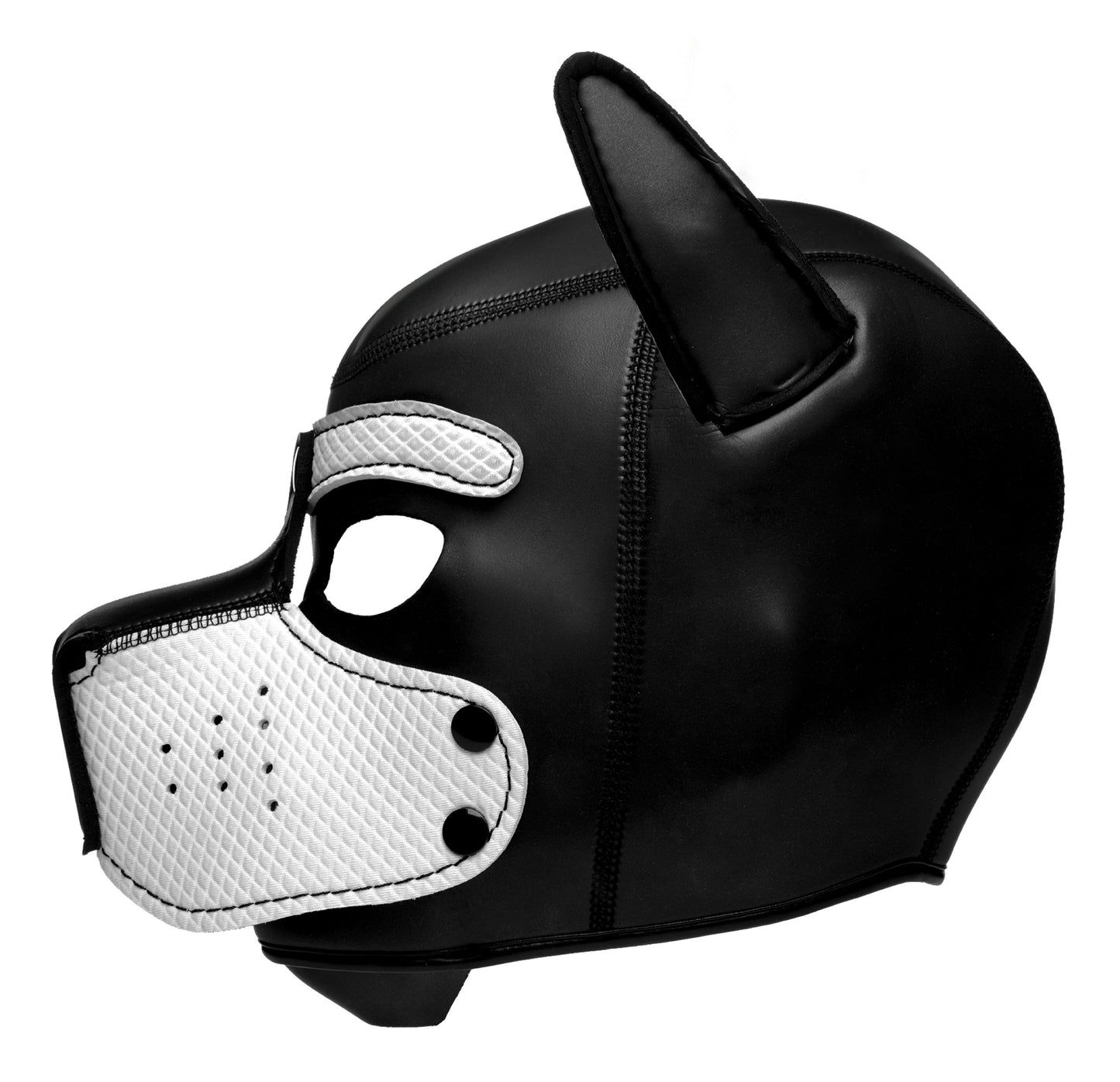 Spike Neoprene Puppy Hood -