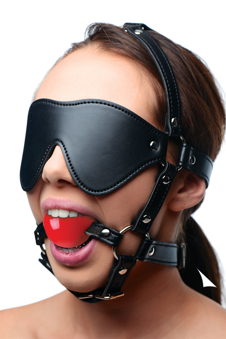 Blindfold Harness and  Ball Gag