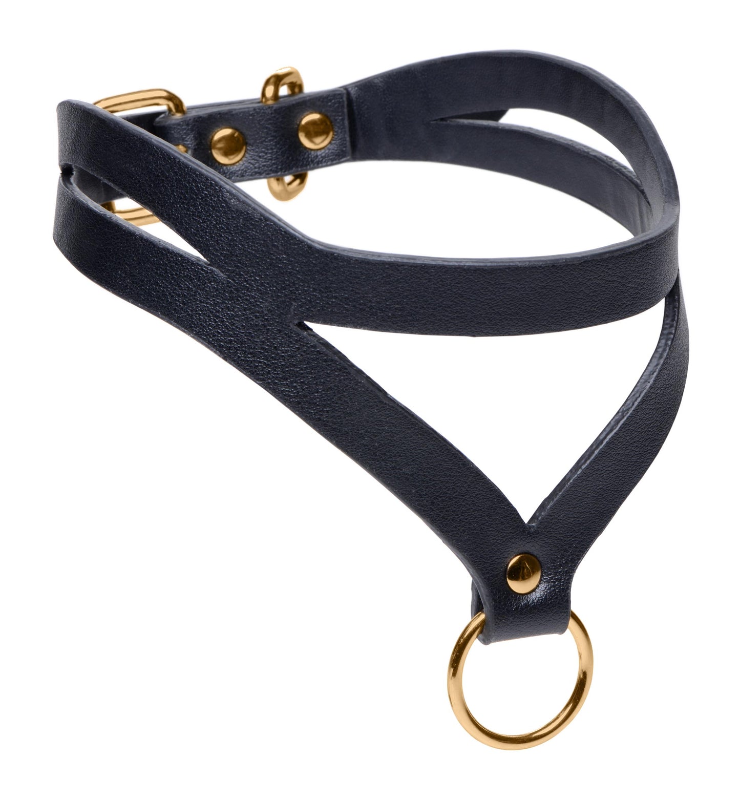 Bondage Baddie  and Gold Collar with O-Ring