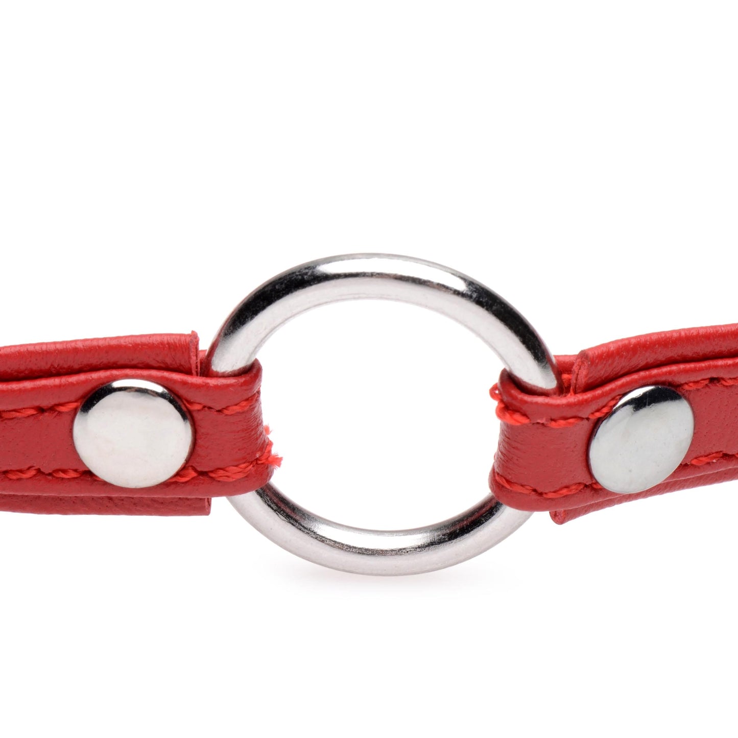 Sex Pet Leather Choker with Silver Ring