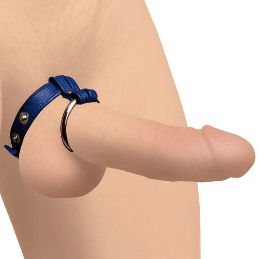 Leather and Steel Cock and Ball Ring -